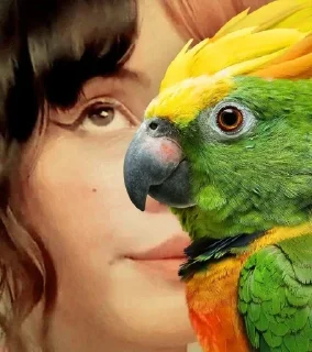 🦜 emoji ФОТО С ПОПУГАЕМ 🦜 | Buhtim Telegram sticker 6 of 50