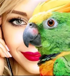 🦜 emoji ФОТО С ПОПУГАЕМ 🦜 | Buhtim Telegram sticker 15 of 50