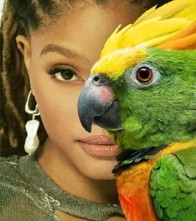 🦜 emoji ФОТО С ПОПУГАЕМ 🦜 | Buhtim Telegram sticker 18 of 50