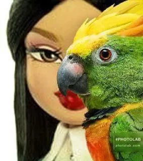 🦜 emoji ФОТО С ПОПУГАЕМ 🦜 | Buhtim Telegram sticker 22 of 50