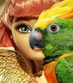 🦜 emoji ФОТО С ПОПУГАЕМ 🦜 | Buhtim Telegram sticker 5 of 50