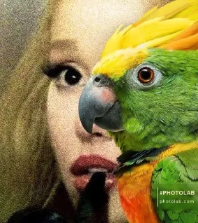 🦜 emoji ФОТО С ПОПУГАЕМ 🦜 | Buhtim Telegram sticker 3 of 50
