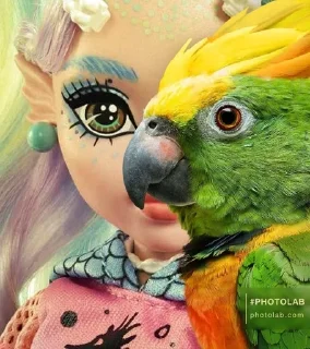 🦜 emoji ФОТО С ПОПУГАЕМ 🦜 | Buhtim Telegram sticker 12 of 50
