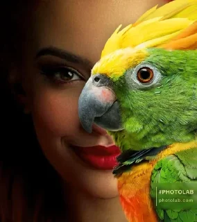 🦜 emoji ФОТО С ПОПУГАЕМ 🦜 | Buhtim Telegram sticker 24 of 50