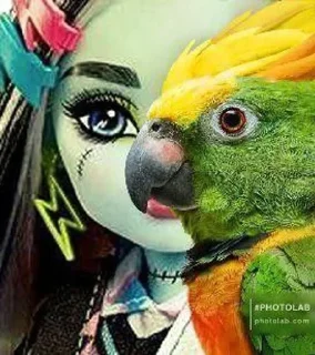 🦜 emoji ФОТО С ПОПУГАЕМ 🦜 | Buhtim Telegram sticker 8 of 50