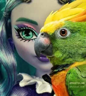 🦜 emoji ФОТО С ПОПУГАЕМ 🦜 | Buhtim Telegram sticker 14 of 50