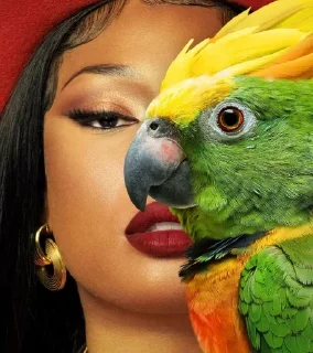 🌟 emoji ФОТО С ПОПУГАЕМ 🦜 | Buhtim Telegram sticker 19 of 50