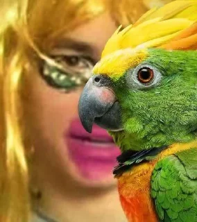 🦜 emoji ФОТО С ПОПУГАЕМ 🦜 | Buhtim Telegram sticker 7 of 50