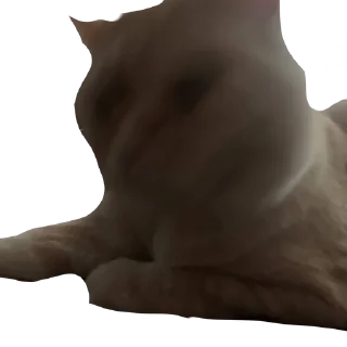 Sticker from боня любимый