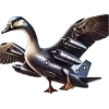 🤩 emoji Tralalelo @TgEmodziBot Telegram sticker 24 of 51