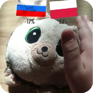 Sticker from Polski TikTok 🇵🇱