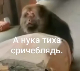 🌟 emoji хуй блич Telegram sticker 5 of 50