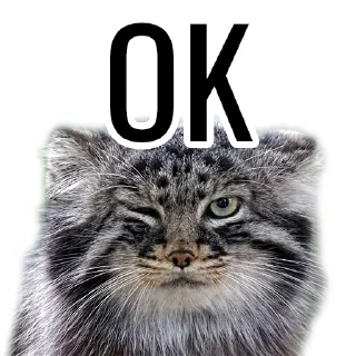 👌 emoji Манул Telegram sticker 21 of 41