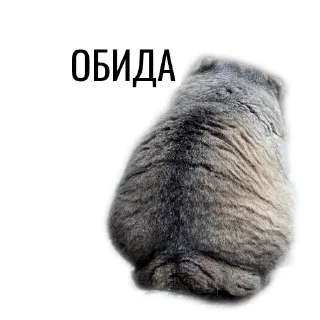 ☹️ emoji Манул Telegram sticker 14 of 41