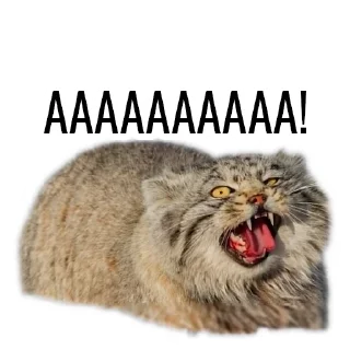Sticker from Манул