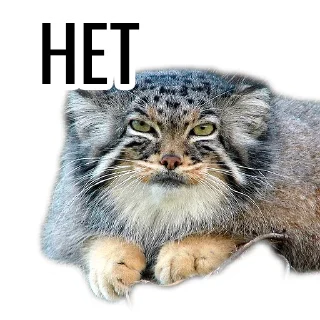 🙅 emoji Манул Telegram sticker 19 of 41