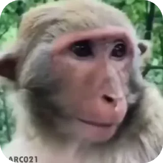 ляляля sticker 2