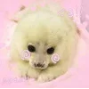 🌟 emoji seals Telegram sticker 17 of 43