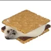 🌟 emoji seals Telegram sticker 15 of 43