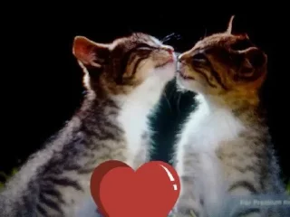 🌟 emoji стикеры толька дяны Telegram sticker 8 of 32