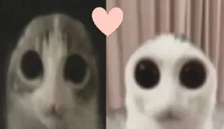 🌟 emoji стикеры толька дяны Telegram sticker 7 of 32