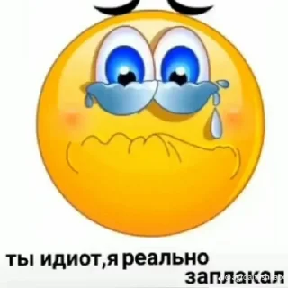 😭 emoji Добавил в свои без разрешения-гей Telegram sticker 20 of 33