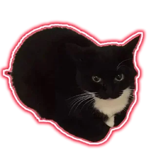 Sticker from Добри Шлёпка