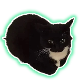 Sticker from Добри Шлёпка