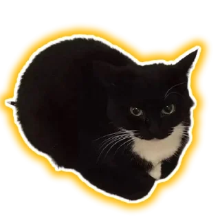Sticker from Добри Шлёпка