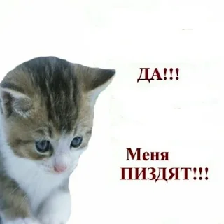 Sticker from пак милы