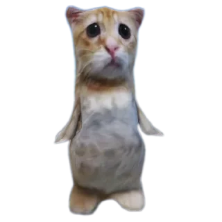 🐱 emoji Пипес Telegram sticker 3 of 65
