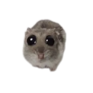 🐱 emoji Пипес Telegram sticker 2 of 65