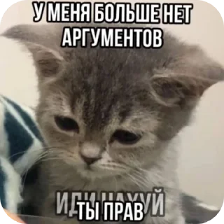 🖼 emoji Пипес Telegram sticker 9 of 65