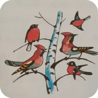 🐦 emoji Учебник русского языка. @Tyomka_Stickers Telegram sticker 20 of 36
