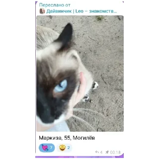 🦁 emoji ЧАТ МАФИИ ФОБИ Telegram sticker 20 of 120