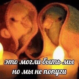 🥰 emoji точно останній sukarab — @stckrRobot Telegram sticker 19 of 120