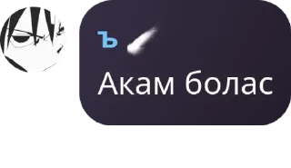 Sticker from РЕЙД 24/7