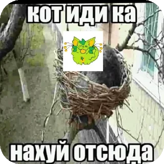👍 emoji Ебучий рандом тгк @shizaandreiki Telegram sticker 15 of 120