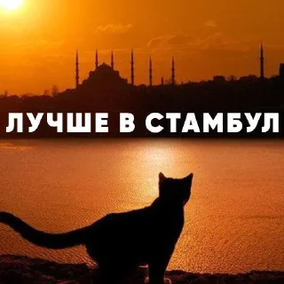 🇹🇷 emoji Kometa Team Telegram sticker 6 of 83