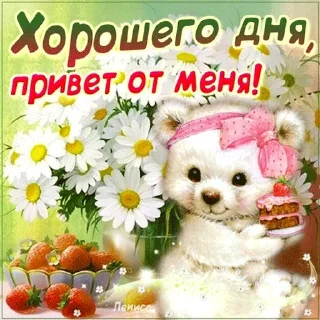 🐻 emoji СТИКЕРЫ КИРИЛЛА Telegram sticker 24 of 40
