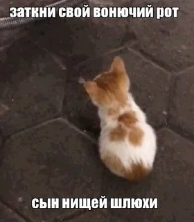 🌟 emoji Больше стиков тут: @stikery4 Telegram sticker 8 of 38