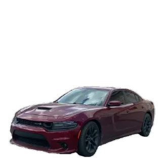 🫥 emoji Хасан беке Telegram sticker 11 of 30