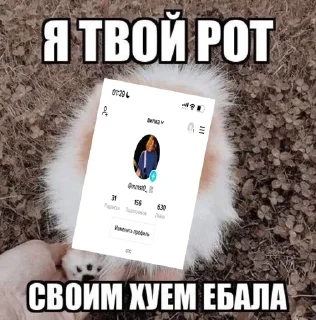 🐶 emoji ливай страус Telegram sticker 23 of 84