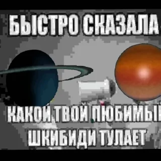🤩 emoji Касотка ебет шесму Telegram sticker 8 of 20