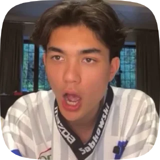 😲 emoji КИТ И ДЖО Telegram sticker 8 of 50