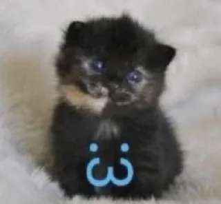 🌟 emoji творения недопонятого гения Ви Telegram sticker 16 of 58