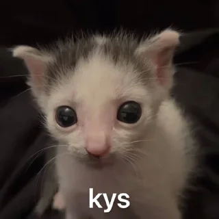🌟 emoji творения недопонятого гения Ви Telegram sticker 21 of 58