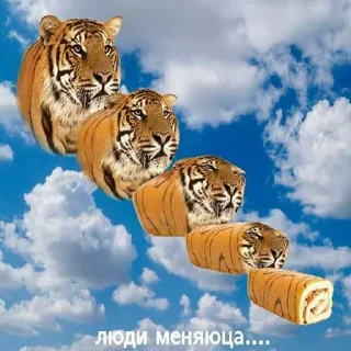 😒 emoji Швдвлатао ➡️ @Ctikerubot Telegram sticker 3 of 40