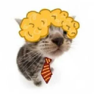 😭 emoji леська #педофил ➡️ @Ctikerubot Telegram sticker 5 of 113