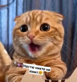 🌟 emoji Video Favorite stickers Telegram sticker 17 of 19